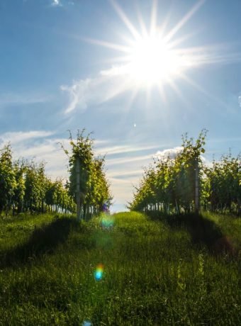 dominik-krzina-4iciaPr3eeI-unsplash