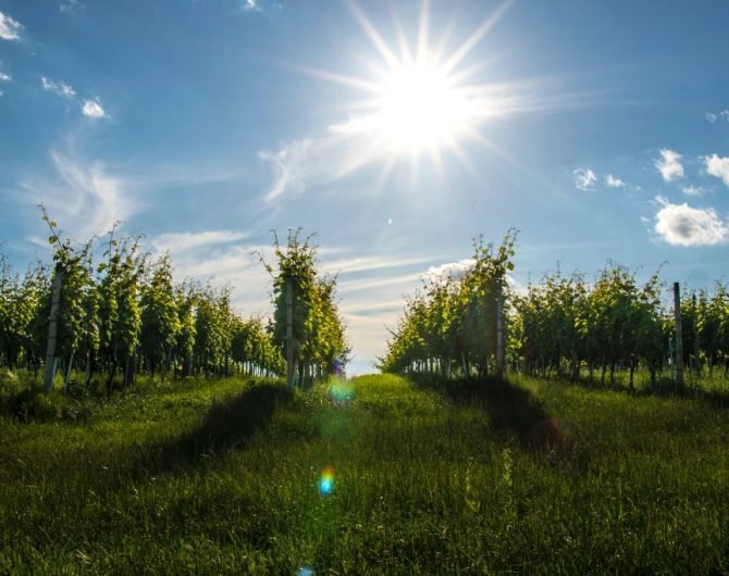 dominik-krzina-4iciaPr3eeI-unsplash